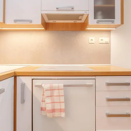 Lägenhet High Floor 2br Downtown With Danube View Balcony Parking Available